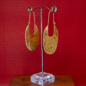 Aros de bronce bug